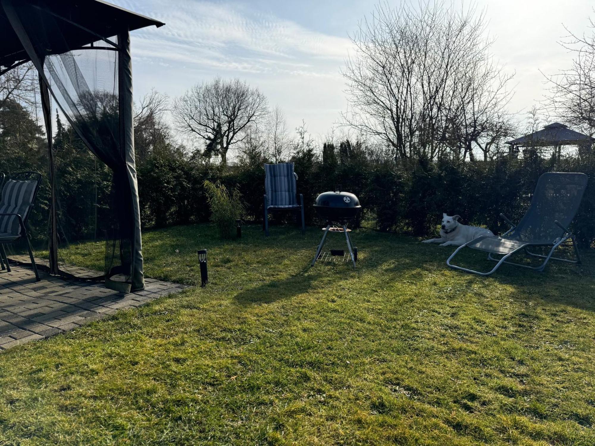 Ferienwohnung Am See Dillich - Ruhige Lage - Eigener Garten - Direkt Neben Einem Natursee Borken  Kültér fotó