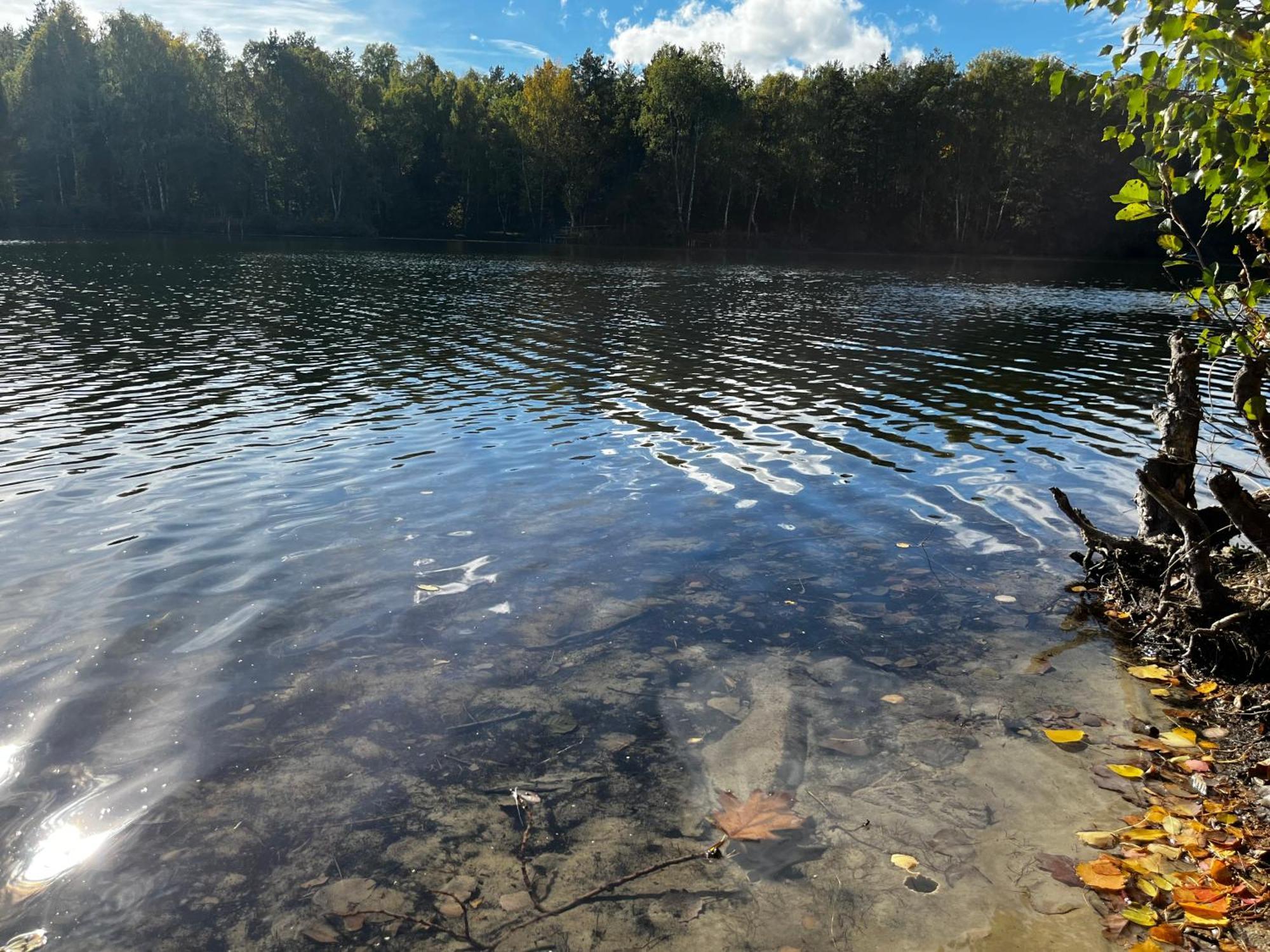 Ferienwohnung Am See Dillich - Ruhige Lage - Eigener Garten - Direkt Neben Einem Natursee Borken  Kültér fotó