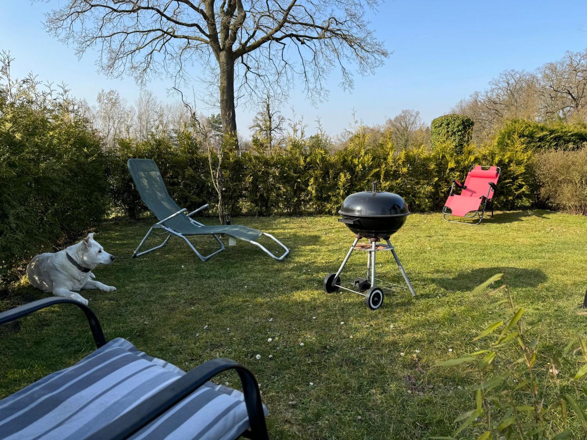 Ferienwohnung Am See Dillich - Ruhige Lage - Eigener Garten - Direkt Neben Einem Natursee Borken  Kültér fotó